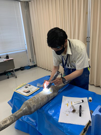 (株)NTTフィールドテクノ 奈良設備部写真